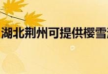 湖北荊州可提供櫻雪消毒柜維修服務(wù)地址在哪