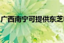 廣西南寧可提供東芝電飯煲維修服務(wù)地址在哪