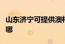 山東濟(jì)寧可提供澳柯瑪電飯煲維修服務(wù)地址在哪
