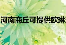 河南商丘可提供歐琳消毒柜維修服務(wù)地址在哪
