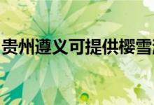 貴州遵義可提供櫻雪消毒柜維修服務(wù)地址在哪