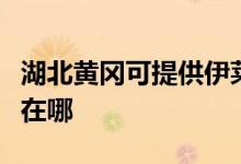 湖北黃岡可提供伊萊克斯消毒柜維修服務地址在哪
