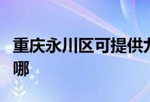 重慶永川區(qū)可提供九陽(yáng)電飯煲維修服務(wù)地址在哪