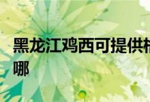 黑龍江雞西可提供格力電飯煲維修服務(wù)地址在哪