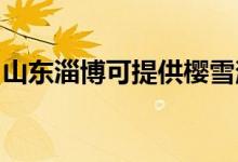 山東淄博可提供櫻雪消毒柜維修服務(wù)地址在哪