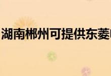 湖南郴州可提供東菱電飯煲維修服務(wù)地址在哪