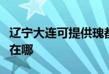 遼寧大連可提供瑰都啦咪壁掛爐維修服務(wù)地址在哪