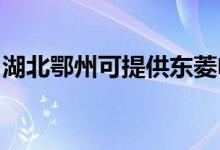 湖北鄂州可提供東菱電飯煲維修服務(wù)地址在哪