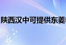 陜西漢中可提供東菱電飯煲維修服務(wù)地址在哪
