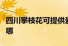 四川攀枝花可提供愛德電飯煲維修服務(wù)地址在哪