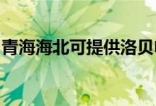 青海海北可提供洛貝電飯煲維修服務(wù)地址在哪