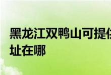 黑龍江雙鴨山可提供格蘭仕電餅鐺維修服務地址在哪