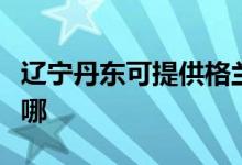 遼寧丹東可提供格蘭仕電餅鐺維修服務地址在哪