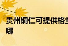 貴州銅仁可提供格蘭仕電餅鐺維修服務地址在哪