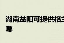 湖南益陽可提供格蘭仕電餅鐺維修服務地址在哪