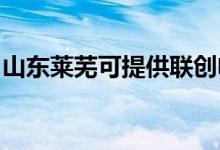 山東萊蕪可提供聯(lián)創(chuàng)電飯煲維修服務(wù)地址在哪