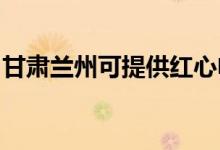甘肅蘭州可提供紅心電餅鐺維修服務地址在哪