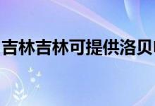 吉林吉林可提供洛貝電餅鐺維修服務(wù)地址在哪