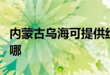 內蒙古烏海可提供紅心電餅鐺維修服務地址在哪
