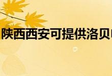 陜西西安可提供洛貝電餅鐺維修服務(wù)地址在哪