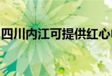 四川內(nèi)江可提供紅心電餅鐺維修服務(wù)地址在哪