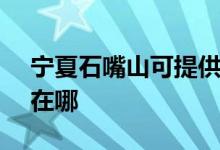 寧夏石嘴山可提供SKG電餅鐺維修服務地址在哪
