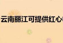 云南麗江可提供紅心電餅鐺維修服務(wù)地址在哪