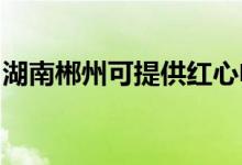 湖南郴州可提供紅心電餅鐺維修服務地址在哪