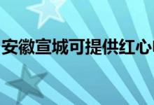 安徽宣城可提供紅心電餅鐺維修服務地址在哪