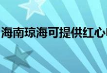 海南瓊?？商峁┘t心電餅鐺維修服務地址在哪