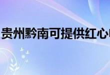 貴州黔南可提供紅心電餅鐺維修服務地址在哪