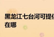 黑龍江七臺河可提供紅心電餅鐺維修服務地址在哪