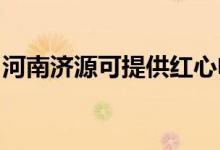 河南濟源可提供紅心電餅鐺維修服務地址在哪