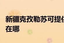 新疆克孜勒蘇可提供紅心電餅鐺維修服務(wù)地址在哪
