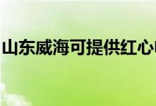 山東威?？商峁┘t心電餅鐺維修服務地址在哪