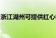 浙江湖州可提供紅心電餅鐺維修服務(wù)地址在哪