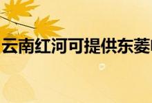 云南紅河可提供東菱電餅鐺維修服務(wù)地址在哪