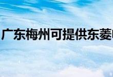 廣東梅州可提供東菱電餅鐺維修服務(wù)地址在哪