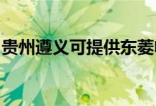 貴州遵義可提供東菱電餅鐺維修服務(wù)地址在哪