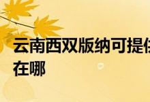 云南西雙版納可提供康佳電餅鐺維修服務(wù)地址在哪