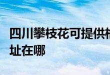 四川攀枝花可提供格蘭仕電壓力鍋維修服務(wù)地址在哪