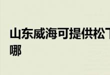 山東威海可提供松下電壓力鍋維修服務(wù)地址在哪