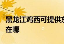 黑龍江雞西可提供東菱電壓力鍋維修服務(wù)地址在哪