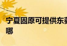 寧夏固原可提供東菱電壓力鍋維修服務(wù)地址在哪