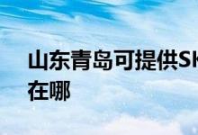 山東青島可提供SKG電壓力鍋維修服務(wù)地址在哪
