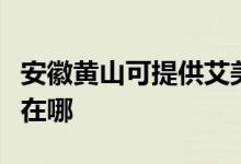 安徽黃山可提供艾美特電壓力鍋維修服務地址在哪