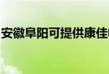 安徽阜陽(yáng)可提供康佳電火鍋維修服務(wù)地址在哪