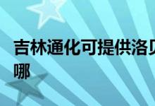吉林通化可提供洛貝電壓力鍋維修服務(wù)地址在哪