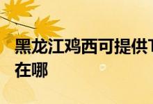 黑龍江雞西可提供TCL電壓力鍋維修服務(wù)地址在哪