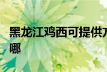 黑龍江雞西可提供方太燃氣灶維修服務地址在哪